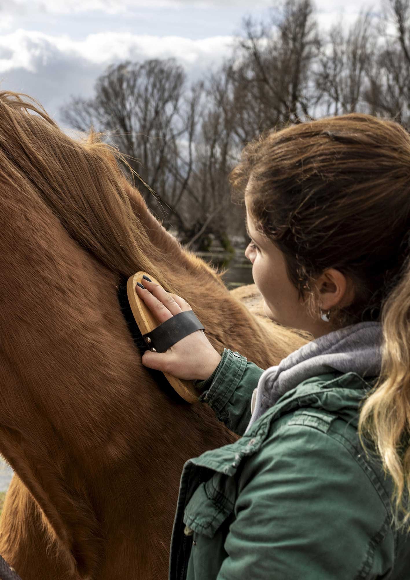experiences horses