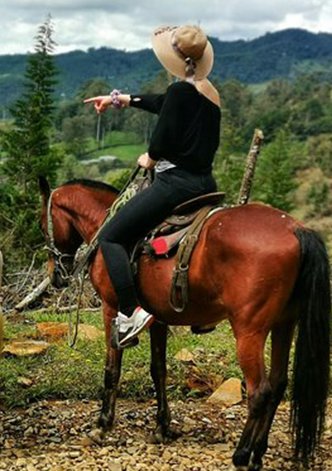 cexperiencia equina