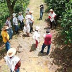 experiencia cafetera colombia essentials