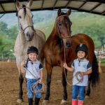 clases la bonanza 012